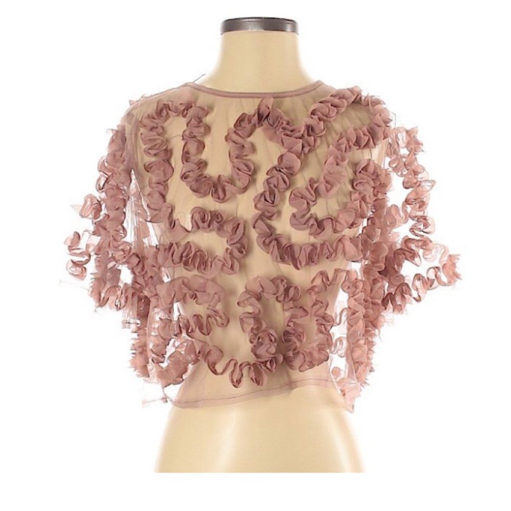 Zara Pink Mesh Ruffle Crop Top